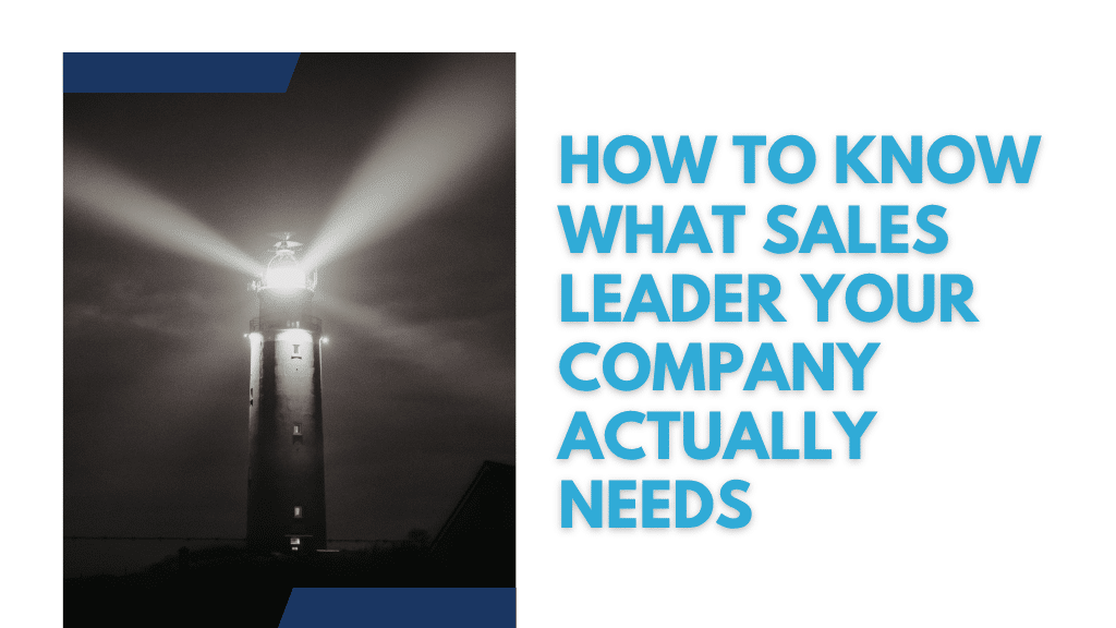 How to know what sales leader your company actually needs